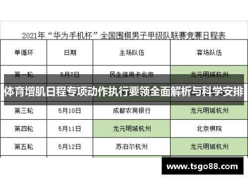 体育增肌日程专项动作执行要领全面解析与科学安排